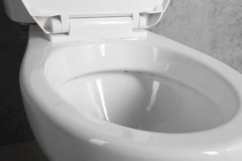 MANUEL WC kombi, dvojtlačítko 3/6l, spodní odpad, bílá PS8814