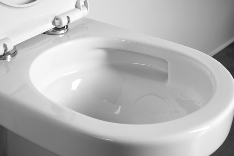 DENICA závěsná WC mísa, Vortex Rimless, 36x52cm, bílá PS8512