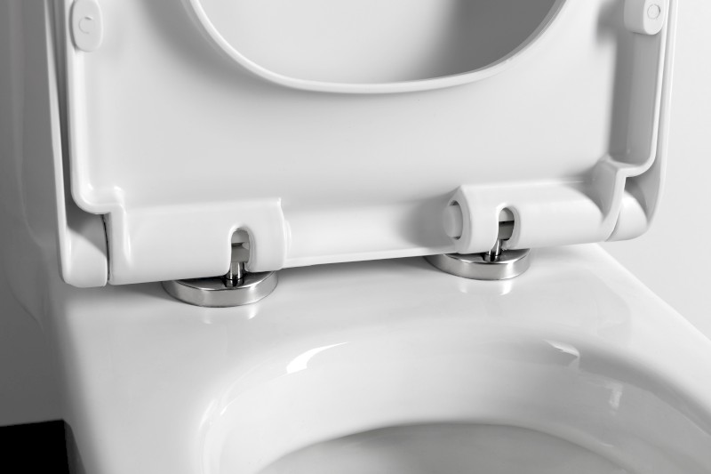 PETIT WC sedátko, Easy Take, bílá PT005