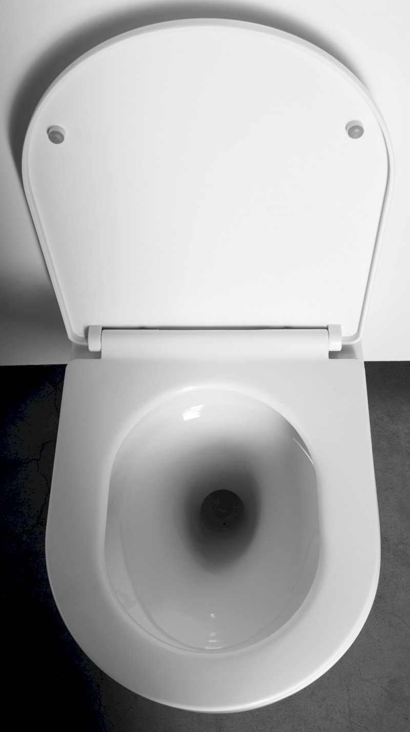 DENICA závěsná WC mísa, Vortex Rimless, 36x52cm, bílá PS8512